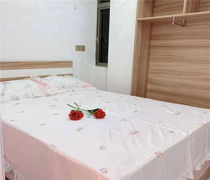 龍崗小產權房:龍城學院