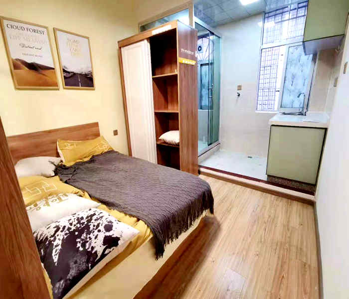 羅湖小產(chǎn)權(quán)房-中心小時代