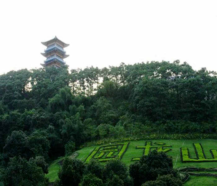 鳳崗小產權房出售-華盛大廈